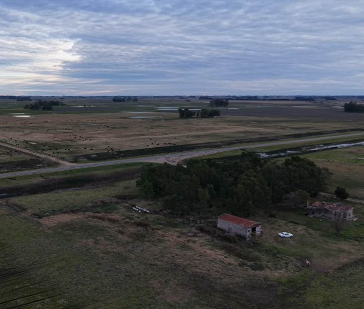 94 hectáreas mixtas sobre Ruta Prov. 91 - Saladillo, Buenos Aires